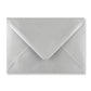 Blank Merry Christmas Gift Vouchers & Metallic Silver Envelopes - Double Sided Holly Design