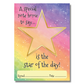 A Special Note Home to Say ......... is the Star of the Day! Teachers Reward & Praise Certificate Notepad. A simple yet effective way to send praise to a pupil. Just fill in their name in the centre of the star. Pretty Rainbow effect background, great for a girl or boy.